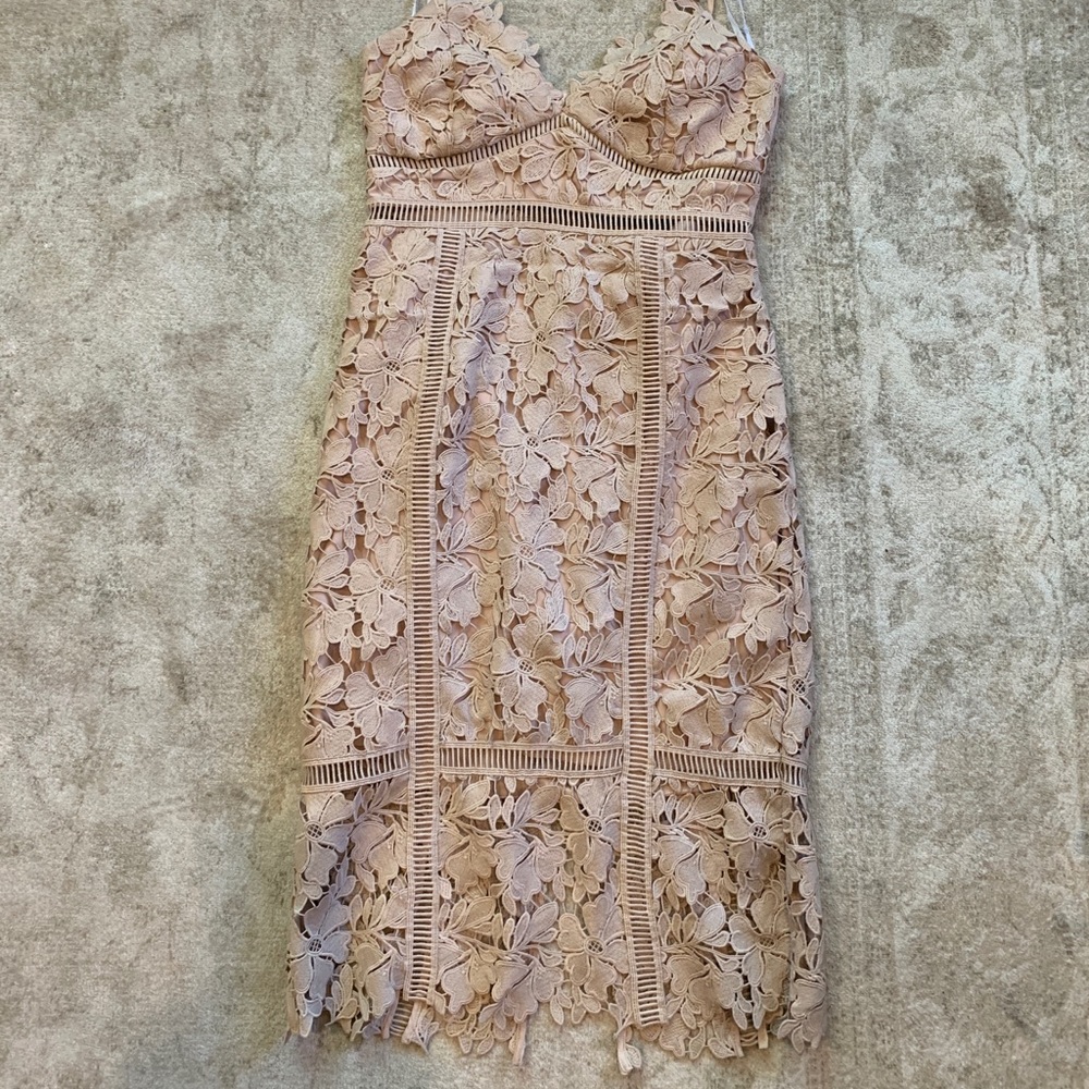 Bardot Floral Lace Cream Dress EUC